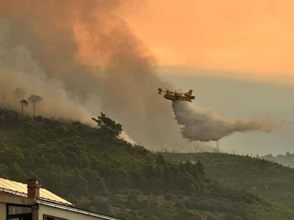Požari u Dalmaciji stavljeni pod kontrolu