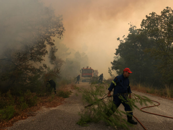 Požari u Grčkoj i dalje bjesne: Izgorilo najmanje 30% zaštićene šume