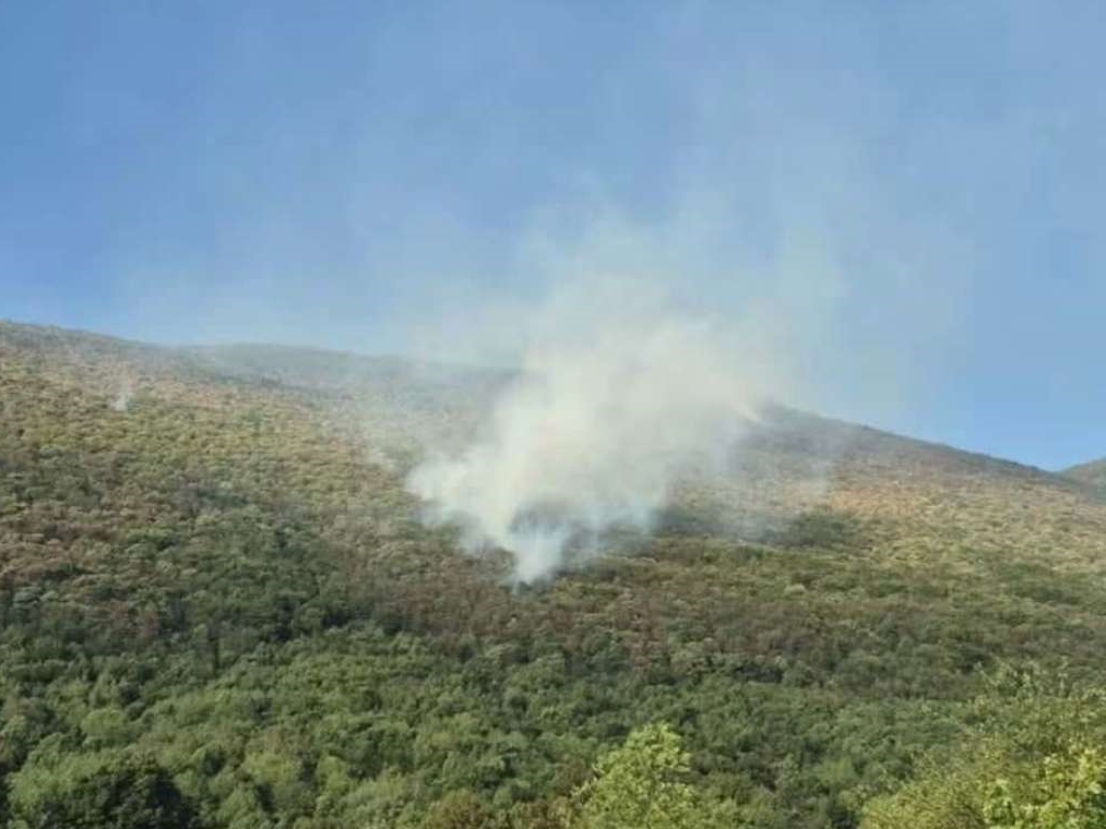 Požarište na Plješevici ponovo aktivirano, zatražen angažman helikoptera