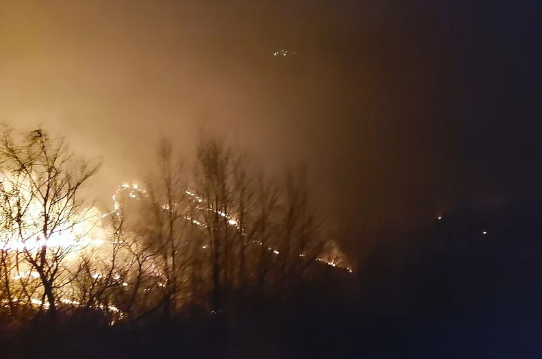 Požarna linija duža od 20 kilometara, čeka se pomoć iz zraka