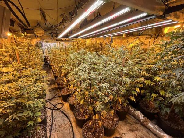 Poznata imena uhapšenih nakon pronalaska droge milionske vrijednosti