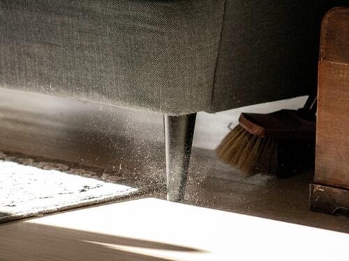 Prašina koju ne obrišete 5 dana sadrži isti broj bakterija kao i šolja u javnom WC-u