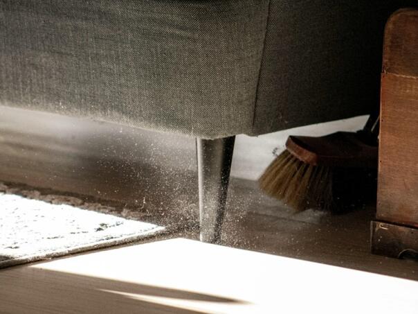 Prašina koju ne obrišete 5 dana sadrži isti broj bakterija kao i šolja u javnom WC-u