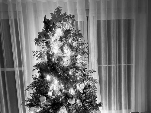 Pratitelji vrijeđaju Salaha zbog slike božićne jelke