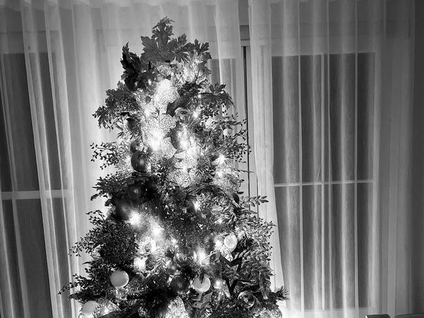 Pratitelji vrijeđaju Salaha zbog slike božićne jelke