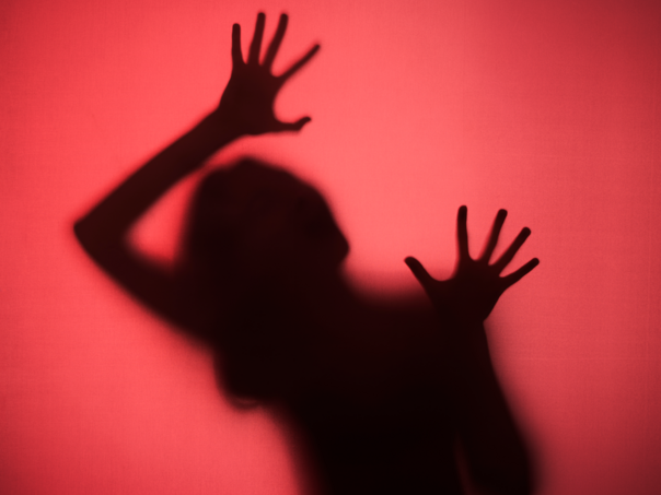 Pravobraniteljica: U Hrvatskoj ubijeno 15 žena, nužne hitne i korjenite promjene