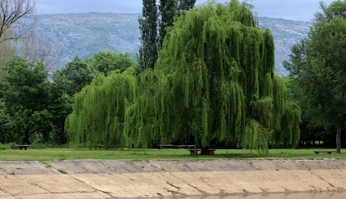 Praznik rada u kišnom Mostaru