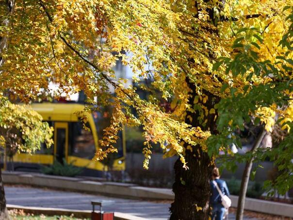 Pred nama je topao i sunčan dan