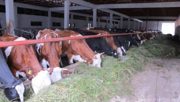 Prehrambena industrija BiH u prvom kvartalu povećala izvoz za 11,64 posto