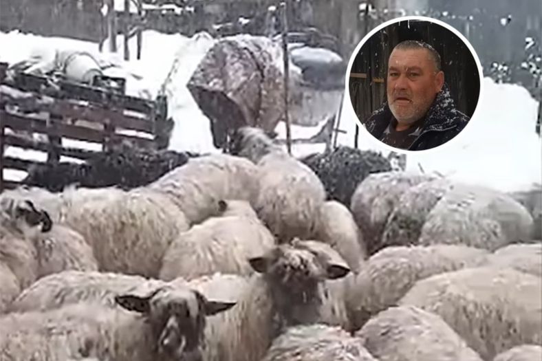 Preko noći ostao bez svega: Stočaru iz BiH snijeg ubio svu stoku