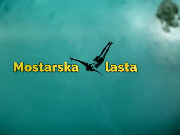 Premijera dokumentarnog filma "Mostarska lasta", 26. februara u programu Federalne televizije