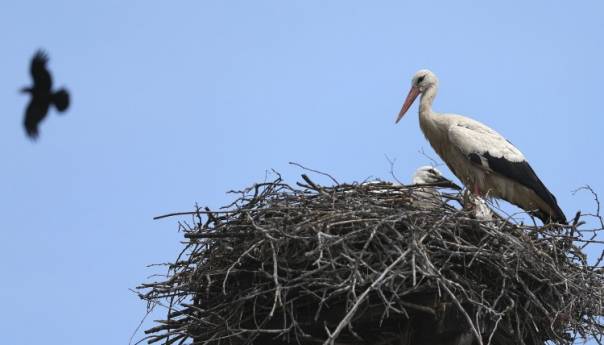 Premijerom dokumentarnog filma o Malenoj i Klepetanu počeo Liburnia Festival
