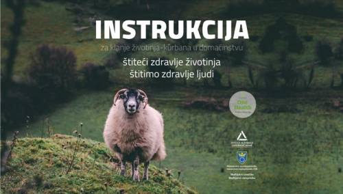 Preporuke stručnjaka o klanju kurbana, zbrinjavanju mesa i otpada