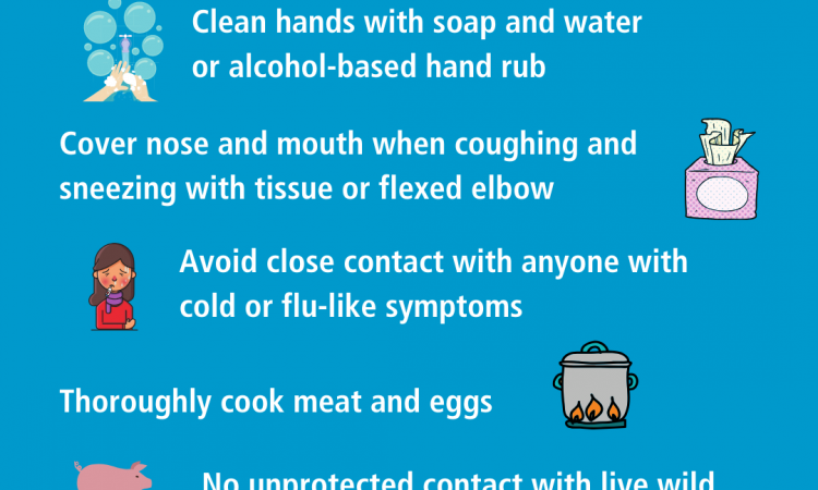 Preporuke za postupanje u slučaju pojave simptoma respiratoratornih infekcija