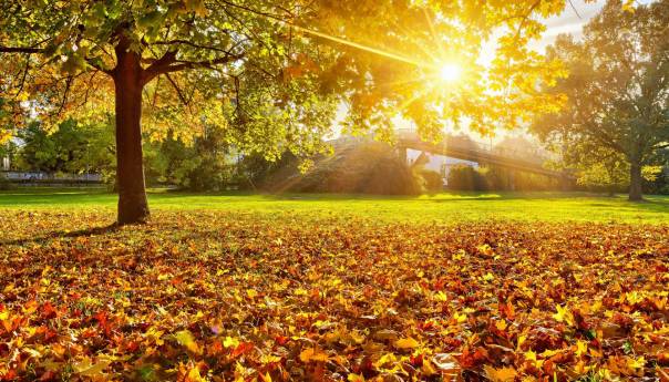 Pretežno sunčano vrijeme narednih dana u BiH