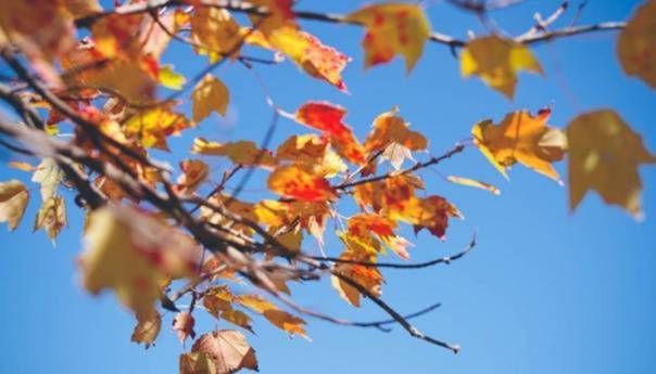 Pretežno vedro jutros u BiH, po kotlinama magla i niska naoblaka