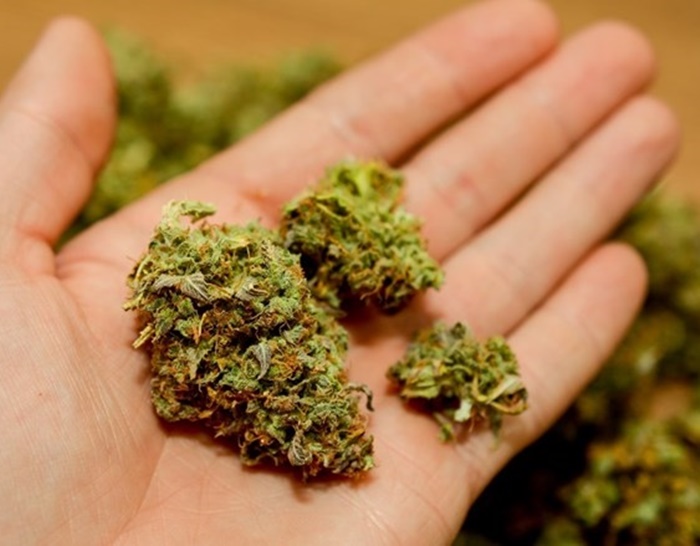 Pretresi u Hercegovini: Uhapšen muškarac, pronađeni marihuana i amfetamin