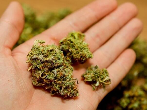 Pretresi u Hercegovini: Uhapšen muškarac, pronađeni marihuana i amfetamin