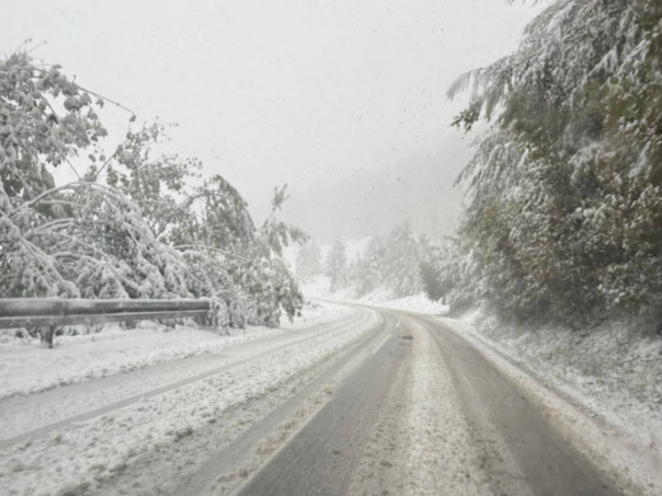 Prevoj Rogoj ponovo prohodan za putnička vozila