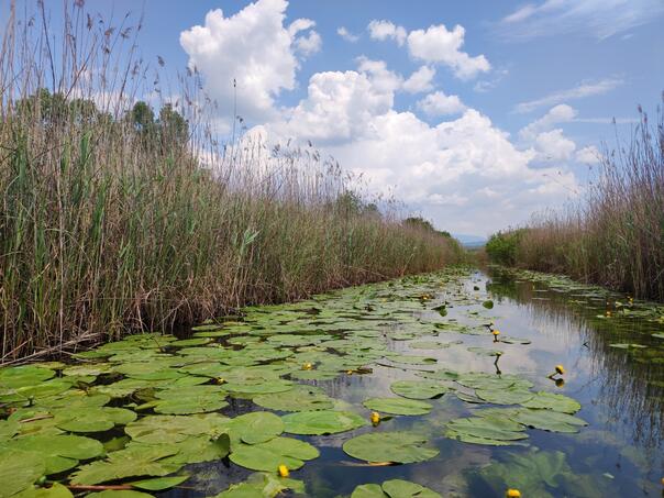 Prijavite se na besplatan izlet u Park prirode 'Hutovo blato'