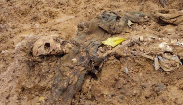 Prije 20 godina ICMP izdao prvi izvještaj o podudaranju DNK