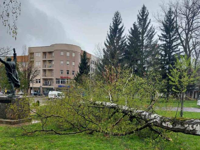 Prijedor: Vjetar čupao stabla, oštećena Tržnica