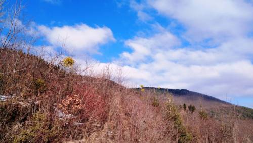 Prijepodne sunčano, temperature do 20 stepeni