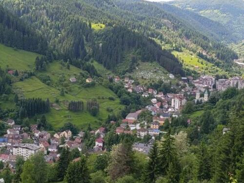 Prijevremeni izbori za Općinu Vareš: Za glasanje van BiH registrirano 67 birača