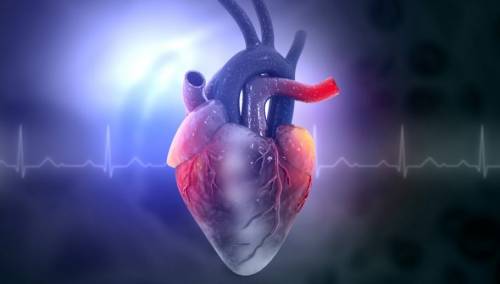 Prilika za sve da razmisle kako da najbolje 'iskoriste svoje srce'