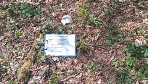 Prilikom asanacije terena u Srebrenici, pronađeni nekompletni posmrtni ostaci jedne žrtve