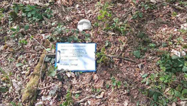 Prilikom asanacije terena u Srebrenici, pronađeni nekompletni posmrtni ostaci jedne žrtve