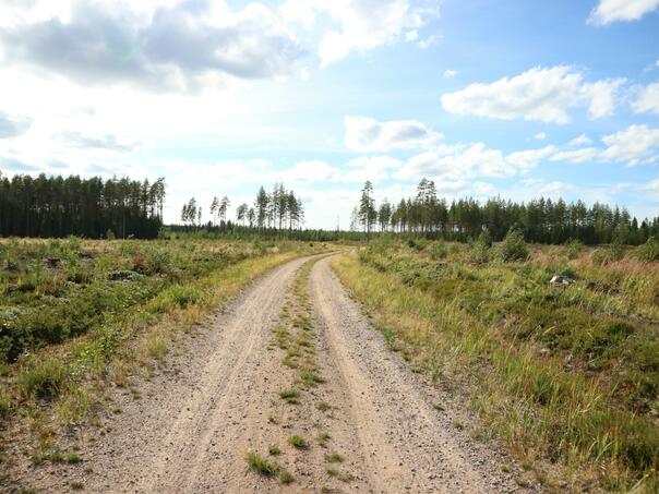 Prilikom sječe šume smrtno stradao muškarac