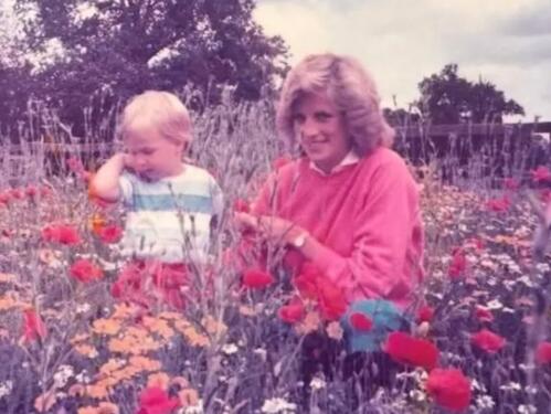 Princ William dirljivom fotografijom odao počast princezi Diani