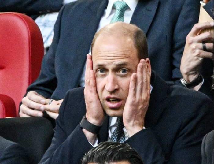 Princ William na utakmici Eura sve nasmijao grimasama, jasno na koga je Louis