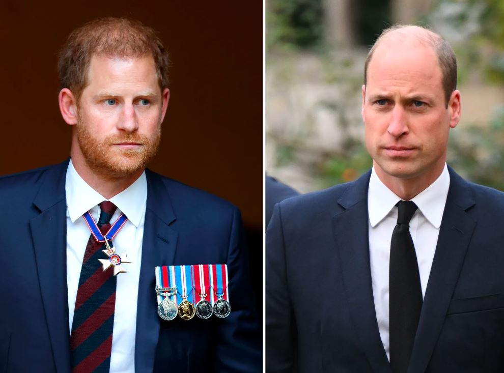 Princ William odlučuje o sudbini brata Harryja