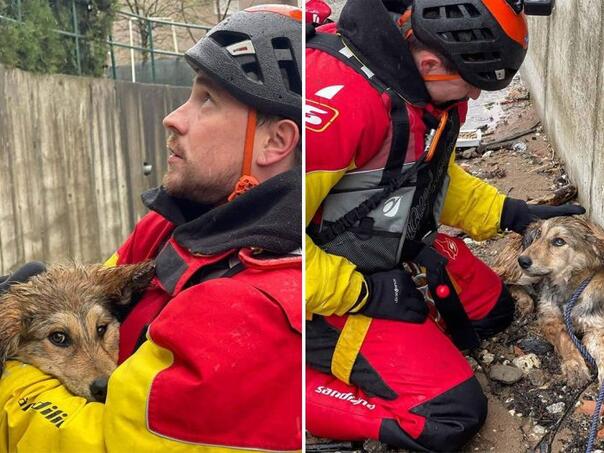 Pripadnici GSS Novo Sarajevo spasili psa iz rijeke