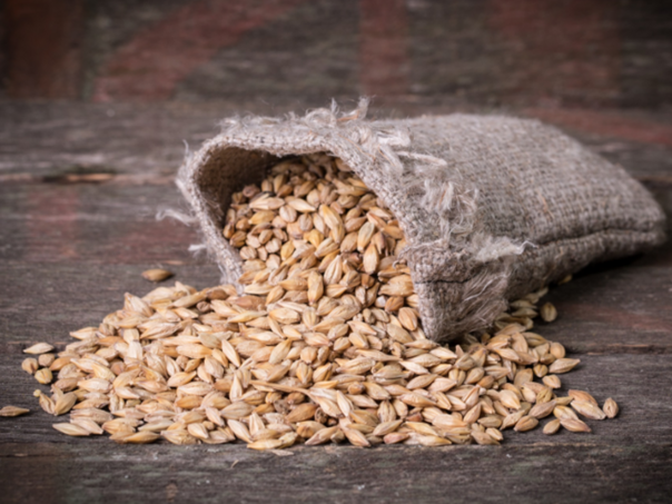 Prirodna podrška za šećer u krvi i jači imunitet