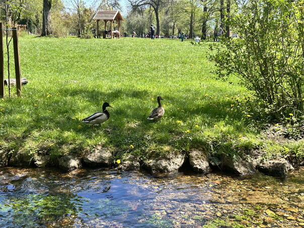 Prirodne ljepote Sarajeva u fokusu: Hiljade posjeta već na početku 2026.