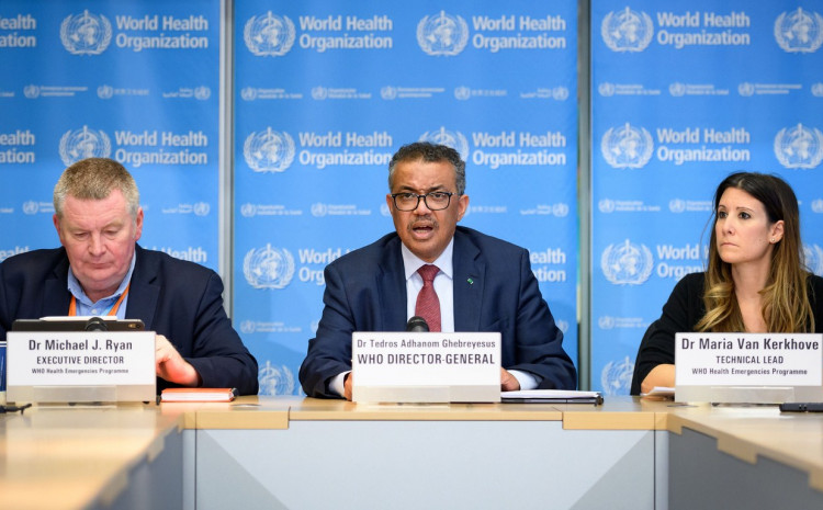 Procurile snimke s privatnih sastanaka WHO-a na početku pandemije