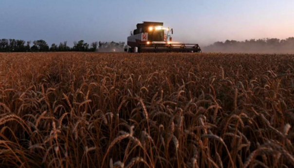 Produžena ograničenja uvoza žitarica iz Ukrajine