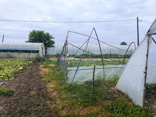 Proglašeno stanje elementarne nepogode na području Distrikta; 600 poziva o prijavljenoj šteti