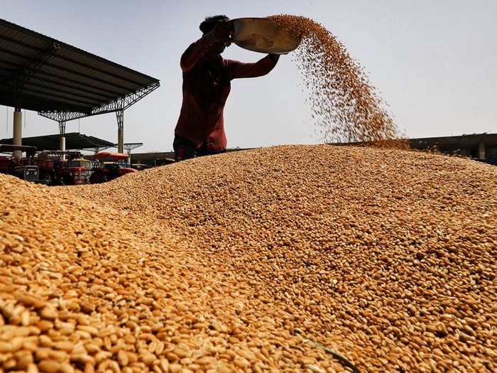 Proizvodnja pšenice u padu, indeksi cijena hrane u porastu