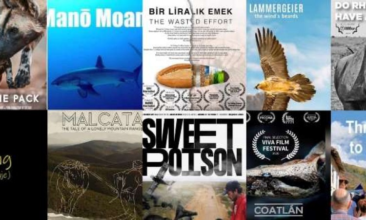 Projekcije ekoloških filmova danas u programu 6. VIVA film festivala