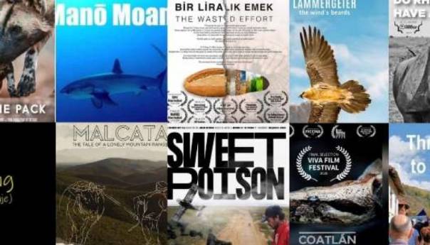 Projekcije ekoloških filmova danas u programu 6. VIVA film festivala