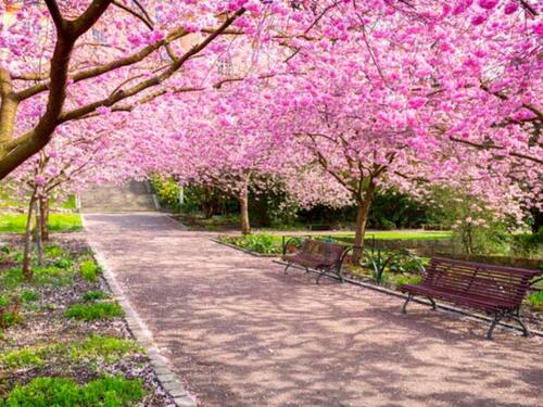 Proljeće više ne počinje "kako smo učili": Evo zašto stiže ranije