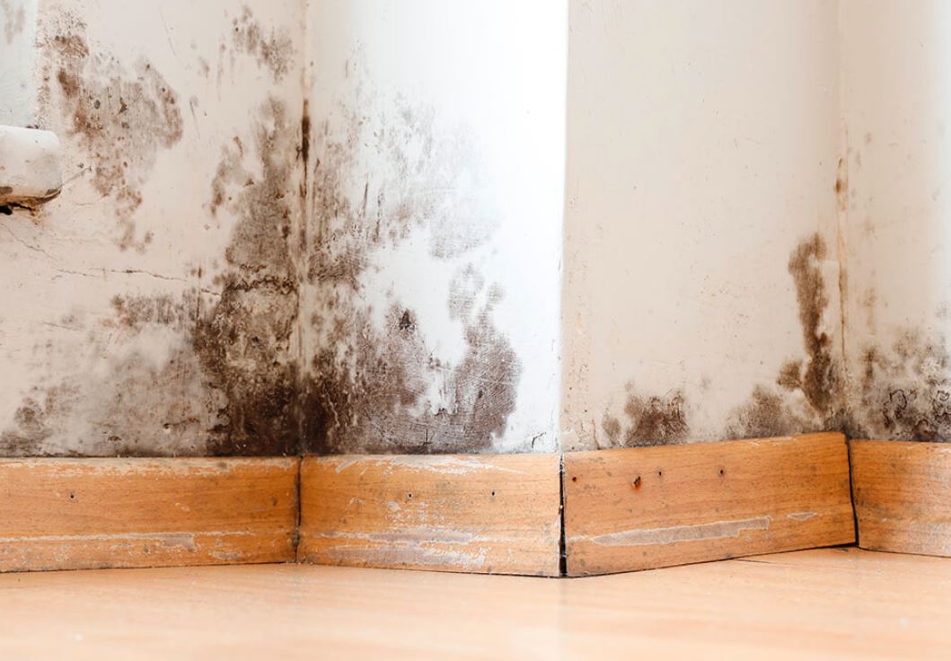 Proljetno osvježenje doma: Jednostavan način da uklonite vlagu