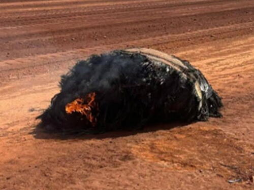 Pronađen svemirski otpad: Gorući komad pao u pustinju u Australiji