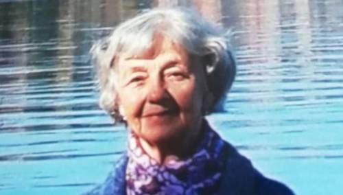 Pronađena Mevlija Milovanović