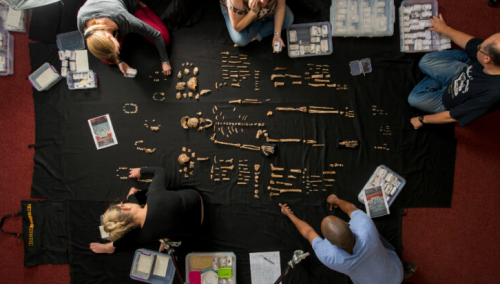 Pronađena najstarija grobnica na svijetu, iskopana 200.000 godina prije nove ere