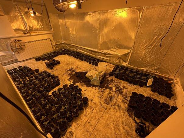 Pronađene dvije laboratorije za uzgoj marihuane u Sarajevu